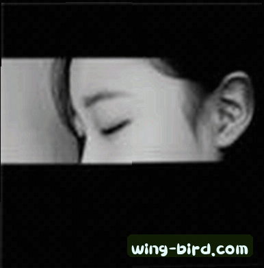 陈少